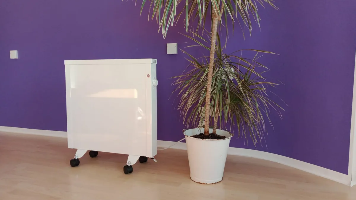Zwei Elektroheizungen mit Thermostat und Zimmerpflanze in einem Wohnraum