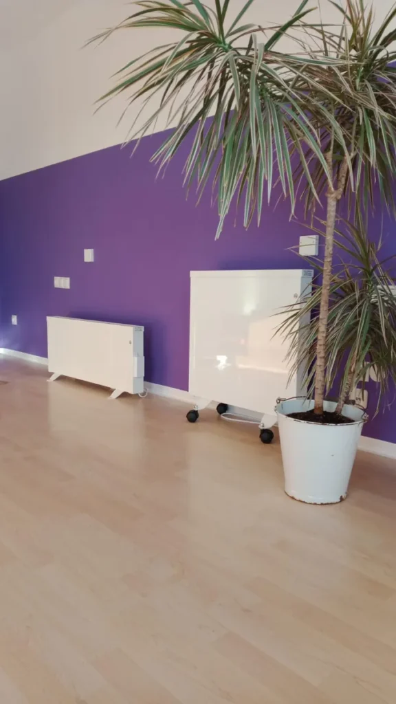 Zwei Elektroheizungen und eine große Zimmerpflanze vor einer violetten Akzentwand