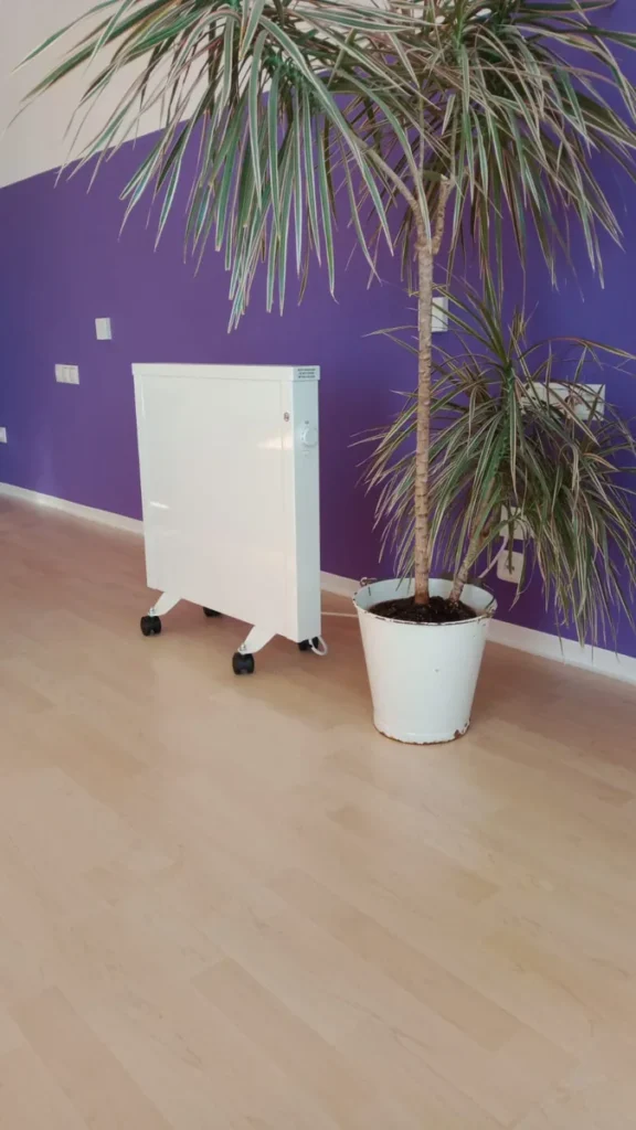 Kompakte mobile Elektroheizung neben einer großen Pflanze im Wohnraum