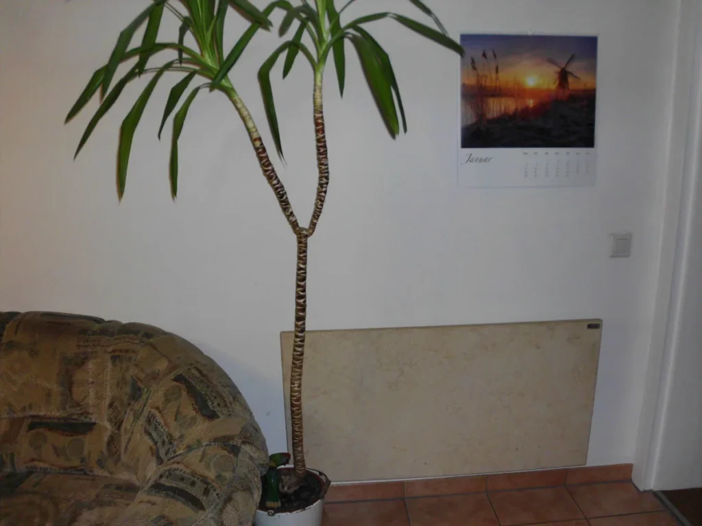 Helle Natursteinheizung an der Wand neben einem Sofa und einer Zimmerpflanze