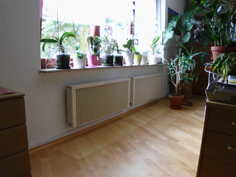 Zwei kompakte Elektroheizungen unter einem Fenster in einem hellen Wohnraum mit Pflanzen